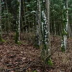 Апартаменты Zauberhaft Im Naturpark Altmuehltal *