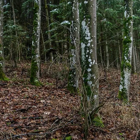 Apartment Zauberhaft Im Naturpark Altmuehltal *