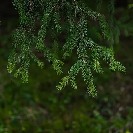 Zauberhaft Im Naturpark Altmuehltal * Greding